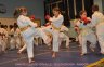 014 TELETHON 2009 Randori enfants.JPG 